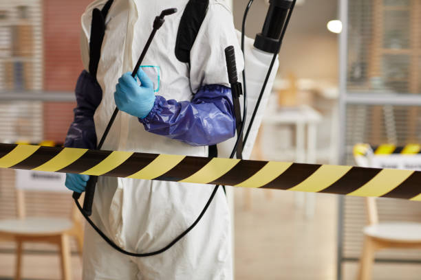 Professional Odor Removal technician working in Forest, IN